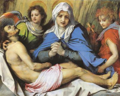 Andrea del Sarto Pieta (mk08) France oil painting art